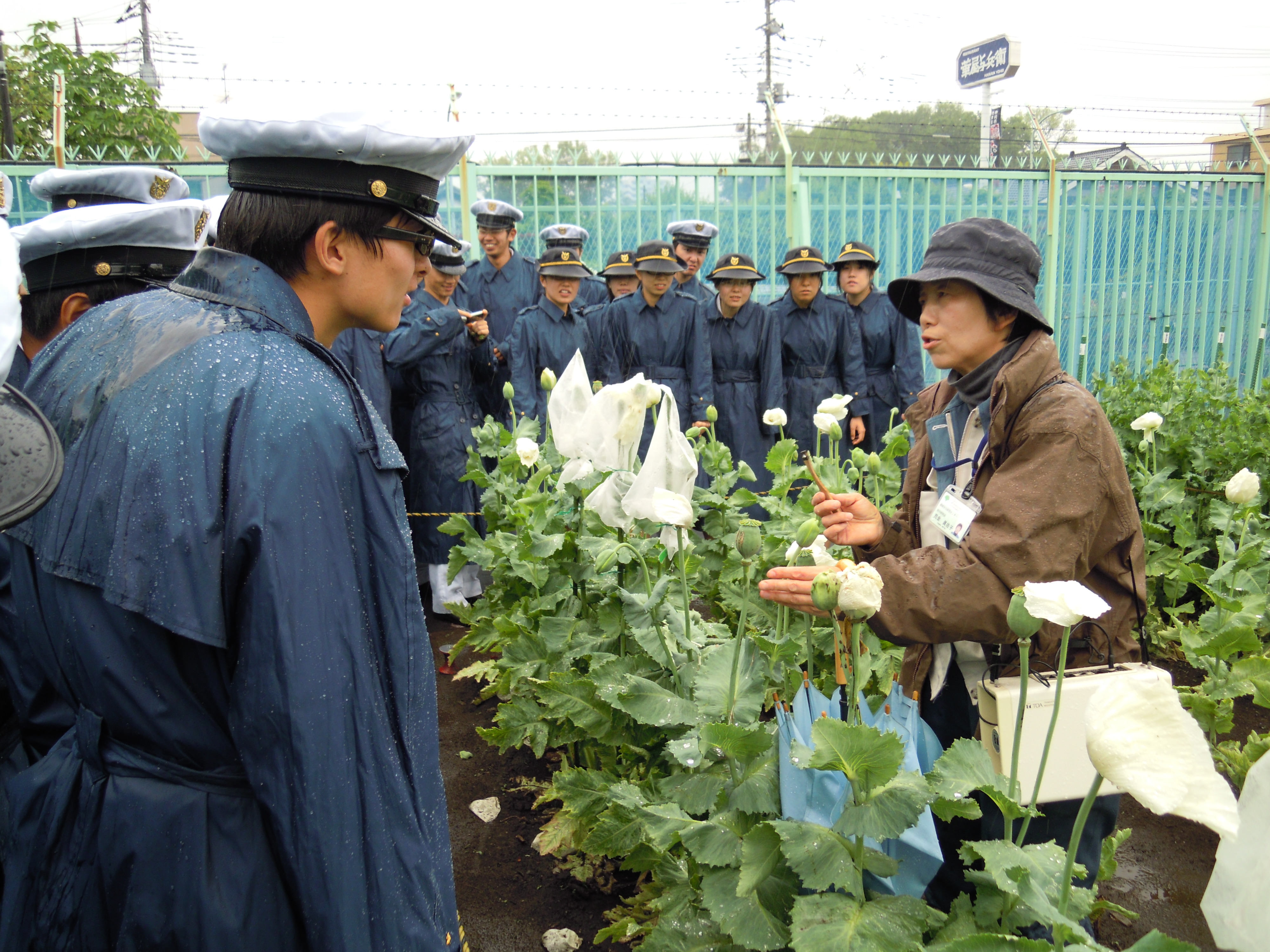 薬草学見学