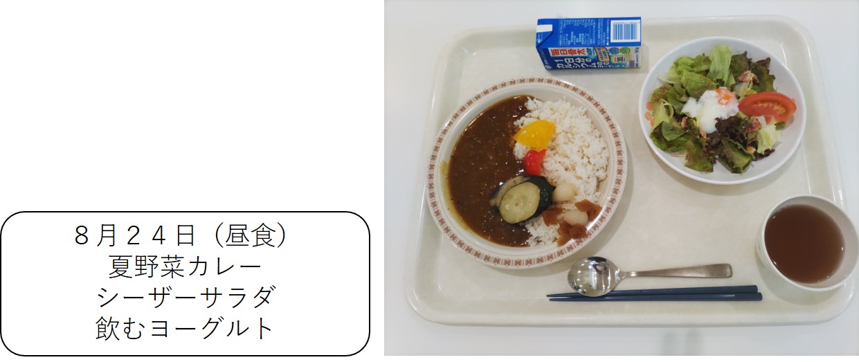 ８月２４日（昼食）