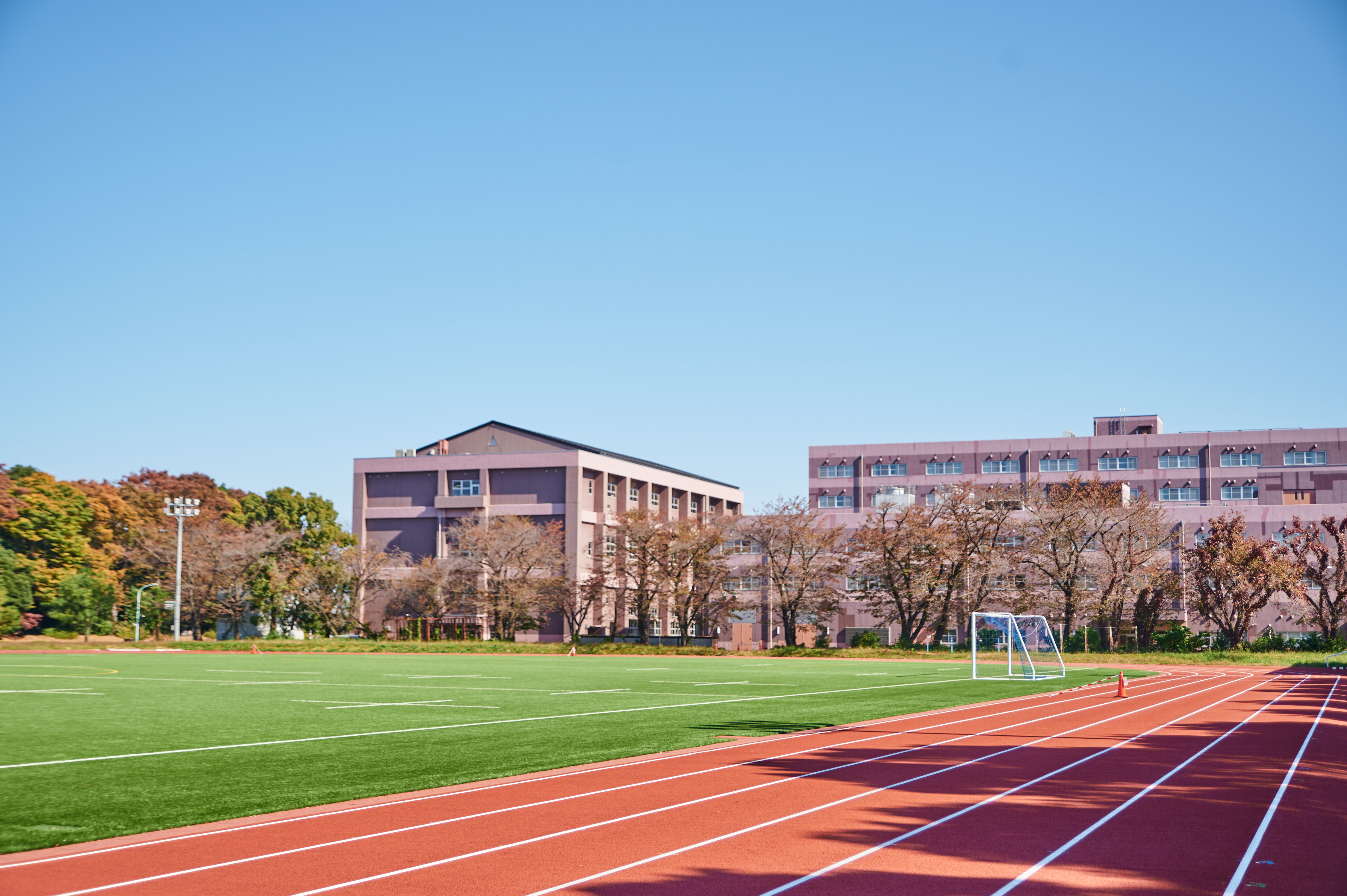 陸上競技場