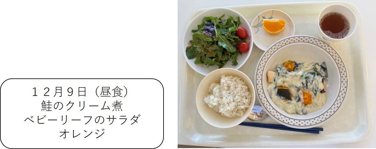 １２月９日（昼食、鮭のクリーム煮、ベビーリーフのサラダ、オレンジ