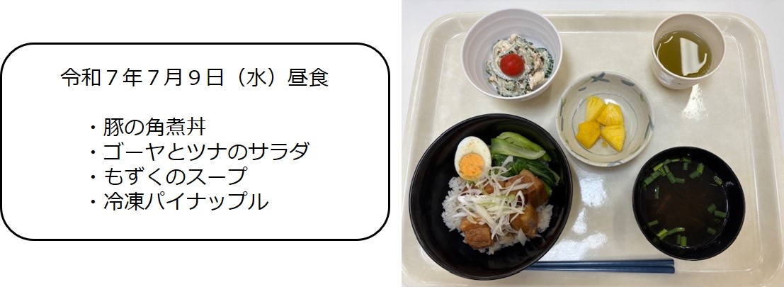 ７月９日（昼食　ナン（豚の角煮丼・ゴーヤとツナのサラダ・もずくのスープ・冷凍パイナップル）