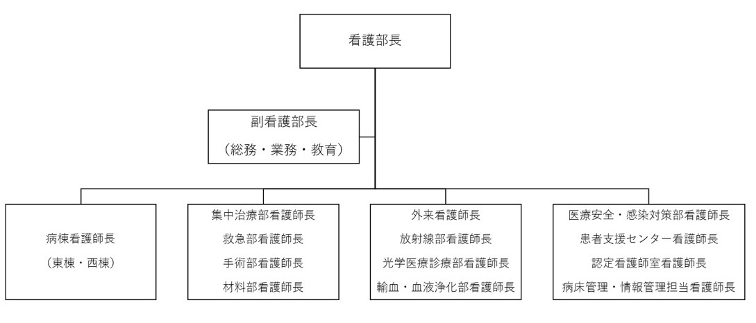 看護部組織図