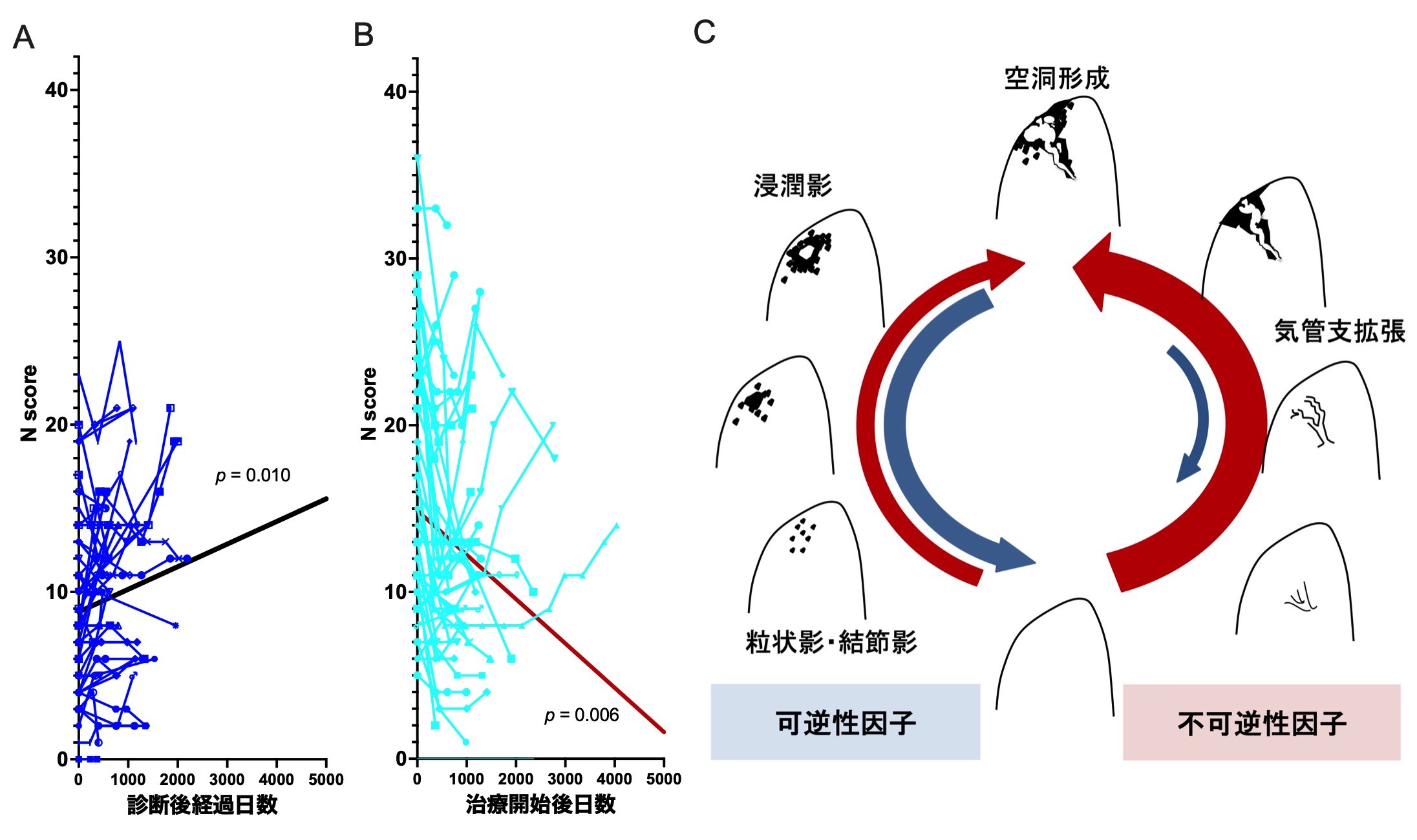 渡邊の研究